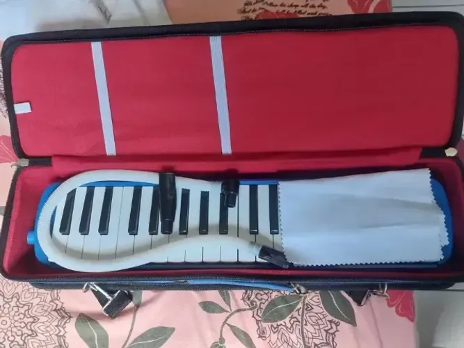 ESCALETA DOLPHIN 37 TECLAS C/SEMI CASE AZUL