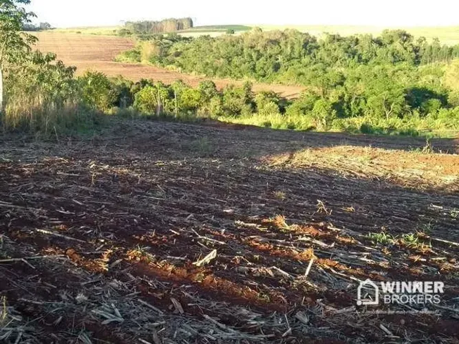 Chácara com 1 dormitório à venda, 30500 m² por R$ 650.000,00 - Estrada Jaborandi - Mandagu