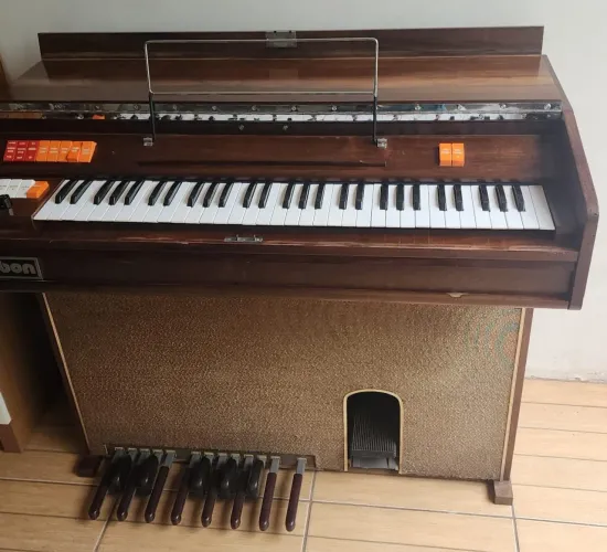 Vendo Órgão elétrico 220v