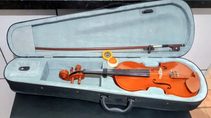 Violino da marca hofma seminovo