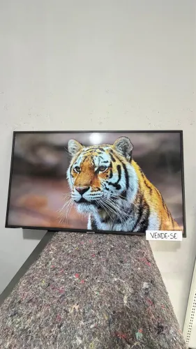 Televisão Samsung 43 com garantia 