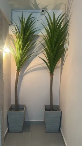 Plantas artificiais yucca