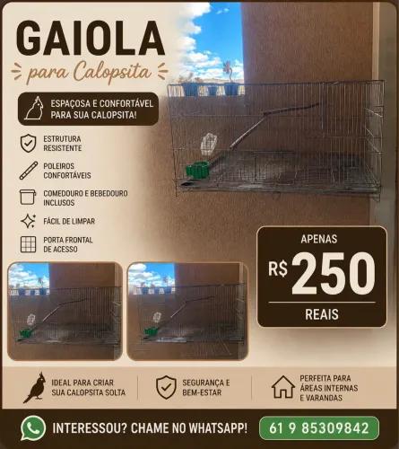 Gaiola Grande para Calopsita