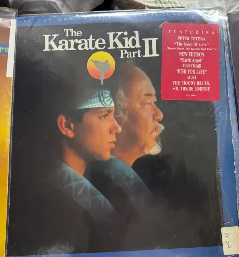 Disco importado tema do filme Karatê Kid II