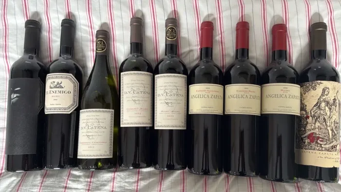 Vinhos Argentinos