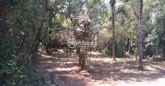 Terreno à venda, 1425 m² por R$ 1.100.000,00 - Vila Hollândia - Campinas/SP