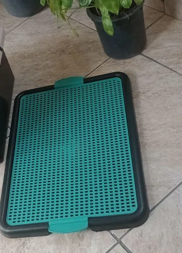 Tapete higiênico grande novo 
