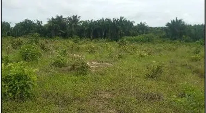 Terreno em VIANA - MA