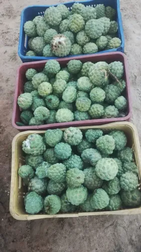 Atas