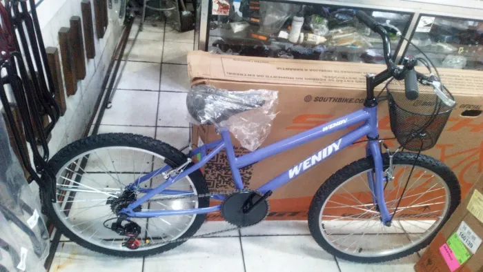 Bicicleta aro 24 6vel.