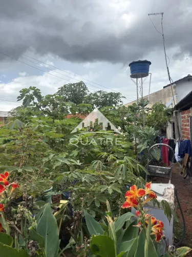 lote com um ponto comercial a venda Residencial Campos Eliseos