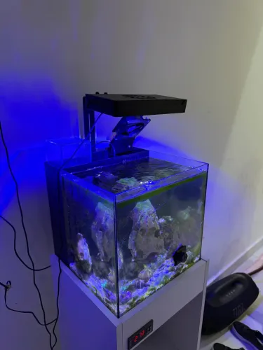 Luminária Ocean Tech Artika Marine