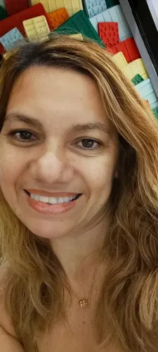 Sou diarista