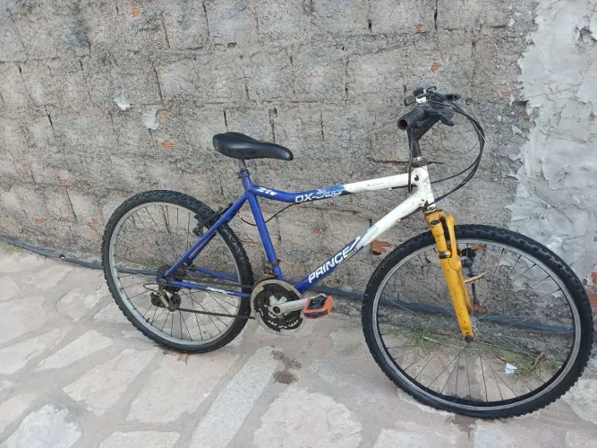 Bicicleta 