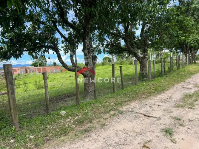 Lote em Avenida dos Ipês, 301 - Granja Regina - Rio Claro/SP