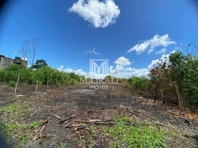 Terreno Amplo 750m² em Marechal Loteamento Padre Cícero, Valor Negociável