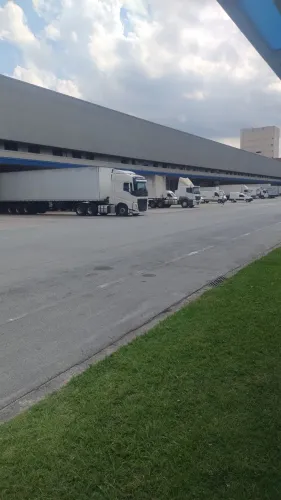 Motorista Cat D 