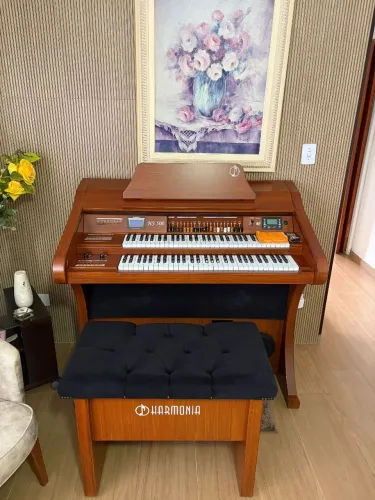 Orgao Harmonia hs 500 luxo novo sem uso pintura termortastica