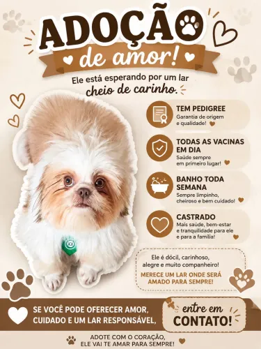 Estou doando um cachorro de raça