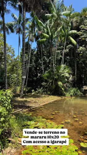 Terreno com acesso a Igarapé