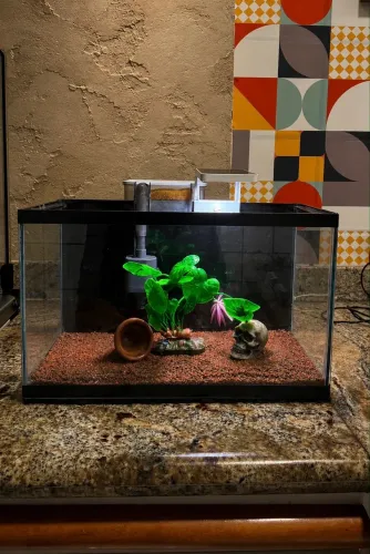 KIT AQUÁRIO 20 LITROS COMPLETO + ILUMINAÇÃO 