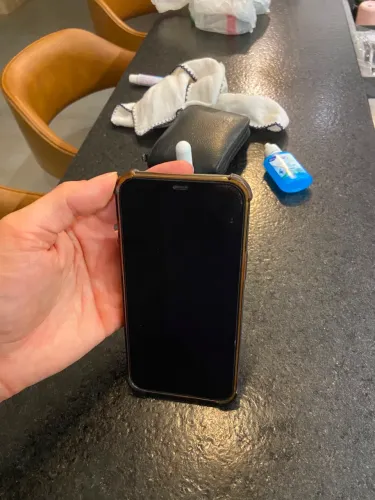 iPhone 12 Pro Max 256g