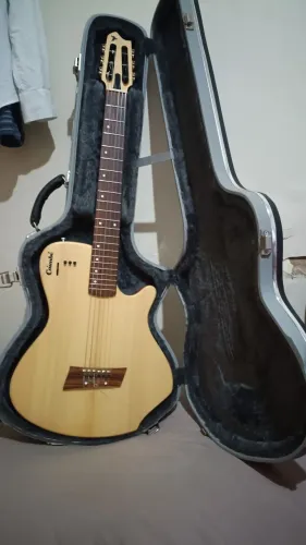 Violâo froficional