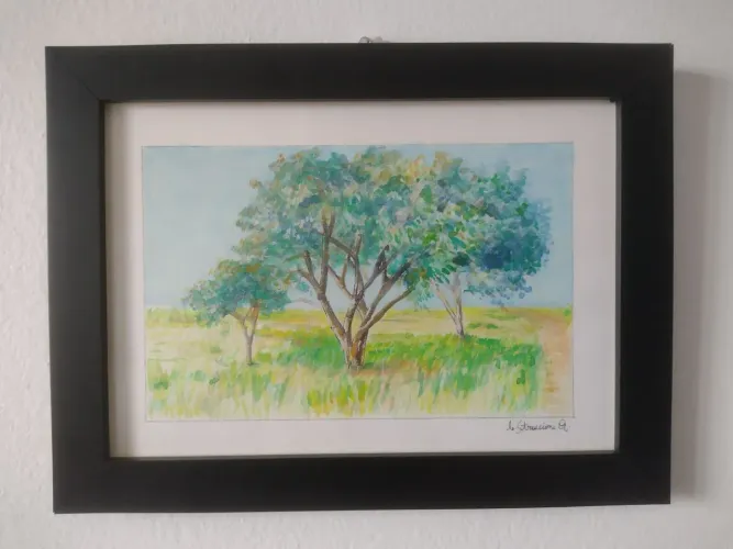 Aquarela 15x21cm com moldura paisagem 10