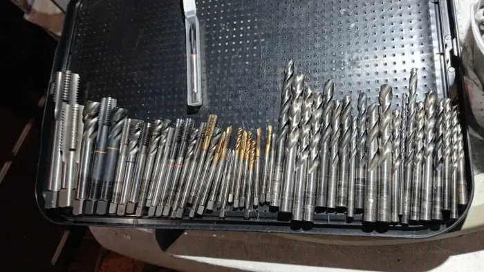 Brocas e machos