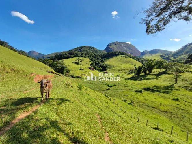 Fazenda Maravilhosa à venda, 41,25 alqueires (fluminense) por R$ 2.850.000 - Centro (Visco