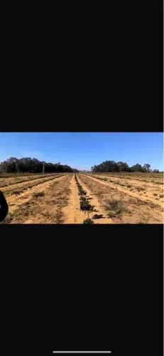 Fazenda de café porteira fechada