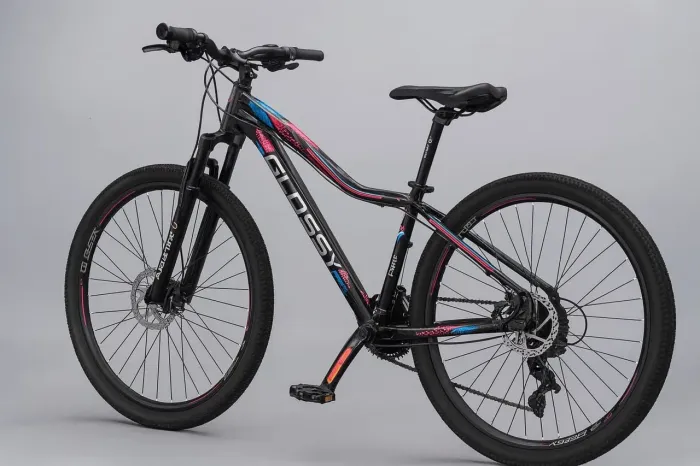 Bicicleta Aro 29