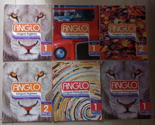 Coleção Sistema Anglo Ensino Médio - 1ª Série (Volumes 1 e 2) - 24 Livros