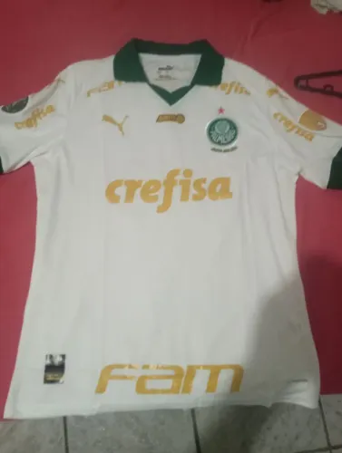 Camisas do palmeiras