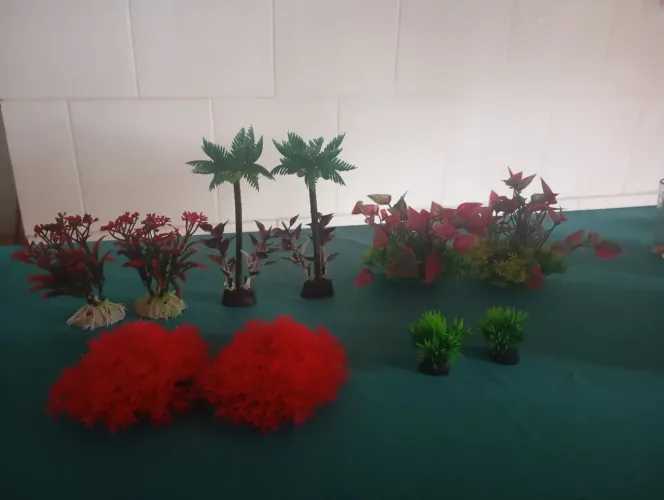 Enfeites de aquario