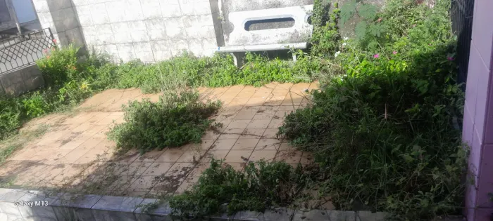 Jardineiro disponível
