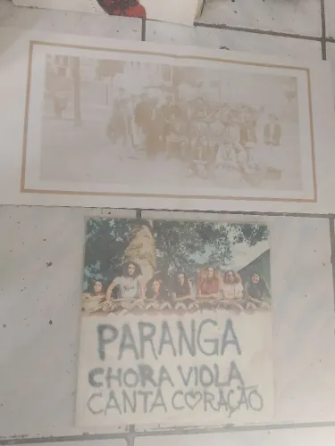 Vinil paranga