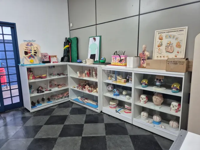 Peças de anatomia para cursos de enfermagem, necropsia, etc...com armários em MDF c/vidro