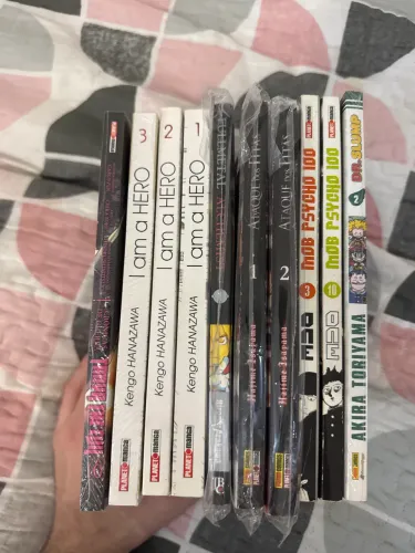 Lote de mangas