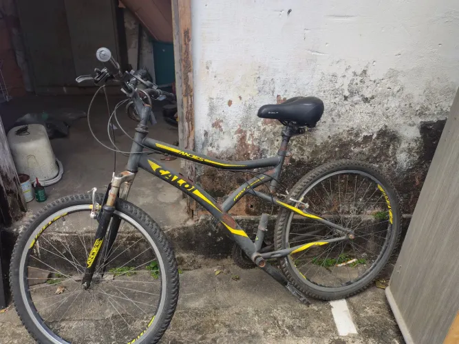 Bicicleta Calloi