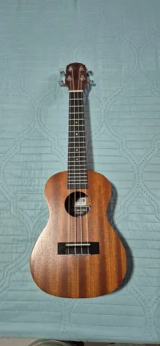 Ukulele Giannini Acoustik com capa