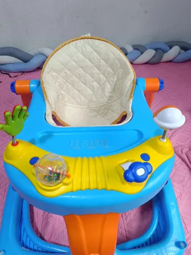 Andaja masculino