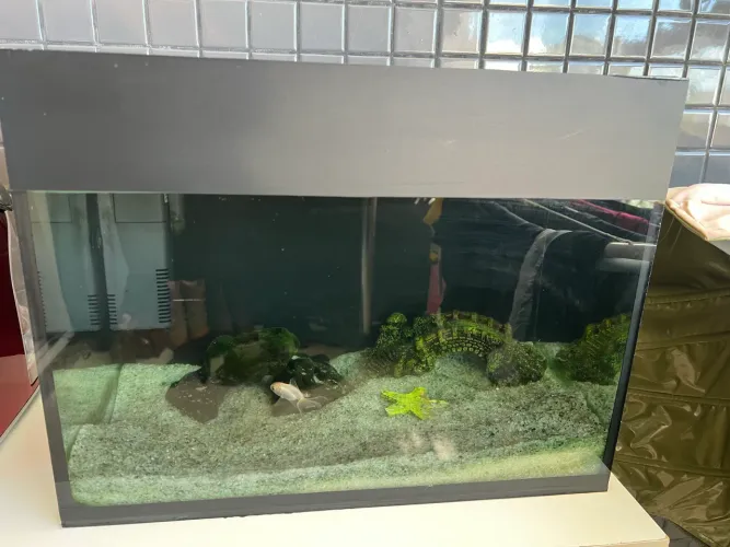 Aquário 25 Litros Completo