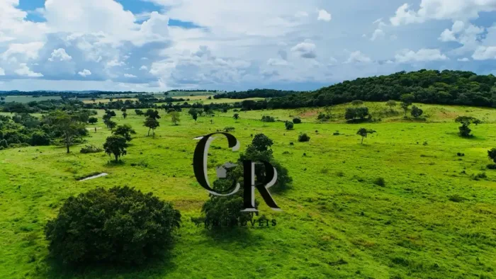 Fazenda a 20KM de Pontalina GO - 20 Alqueires