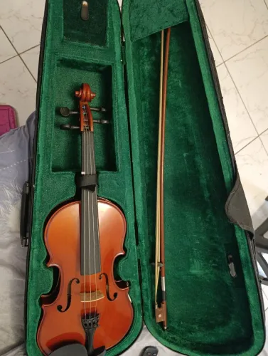 Violino