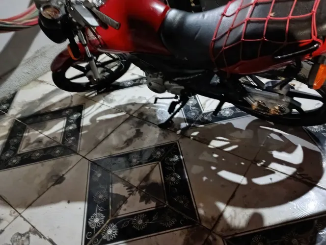 Vendo fan 2010