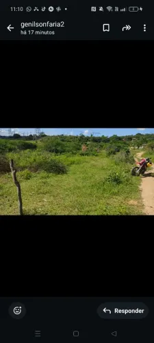 Terreno