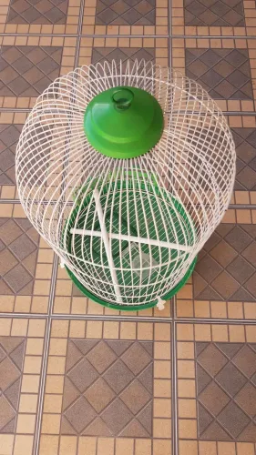Gaiola para calopsita ave