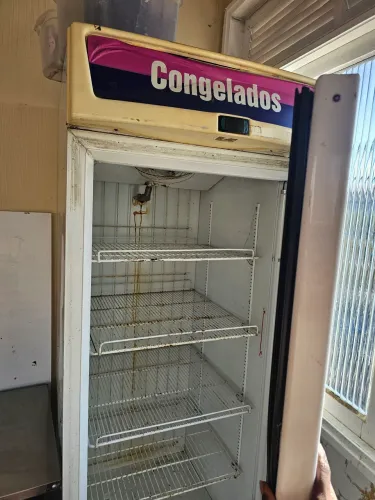 Freezer Vertical Fricon - 220V