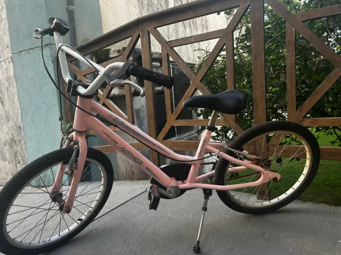 Bicicleta Infantil Nathor Bella Rosa Aro 20 Com Cestinha - Ótimo Estado